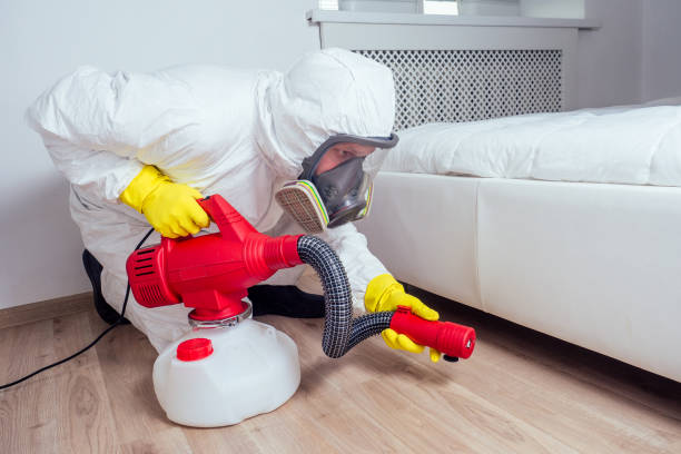 Best Wasp Removal Services  in Eatonville, FL
