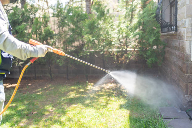 Professional Pest Control in Eatonville, FL