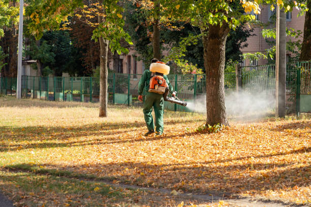 Best Emergency Pest Control  in Eatonville, FL