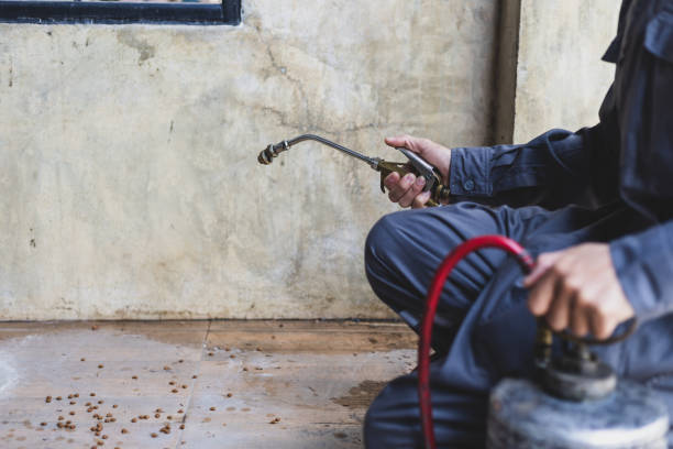 Pest Control Cost in Eatonville, FL